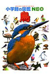 楽天ブックス 小学館の図鑑neo 鳥 上田 恵介 本 楽天ブックス 小学館の図鑑neo 鳥 上田 恵介 本